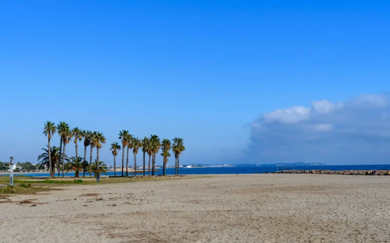 Breed zandstrand met palmbomen in Cambrils onder een blauwe lucht