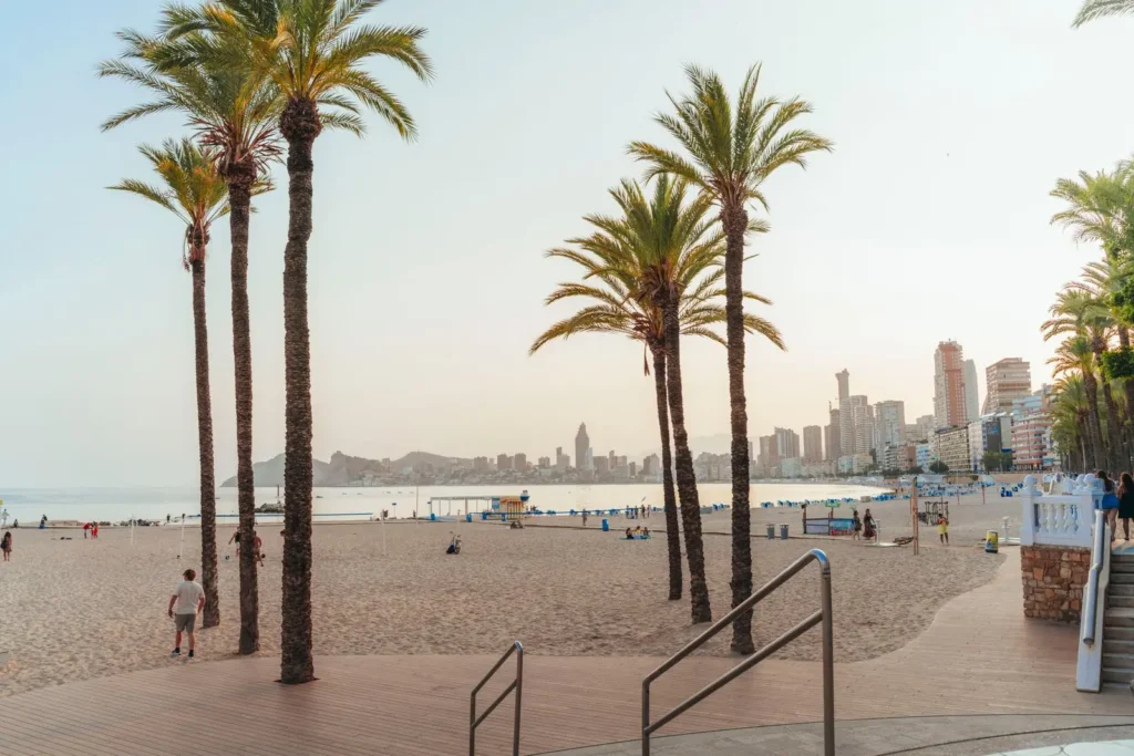 Palmbomen op het strand van Benidorm met de skyline op de achtergrond