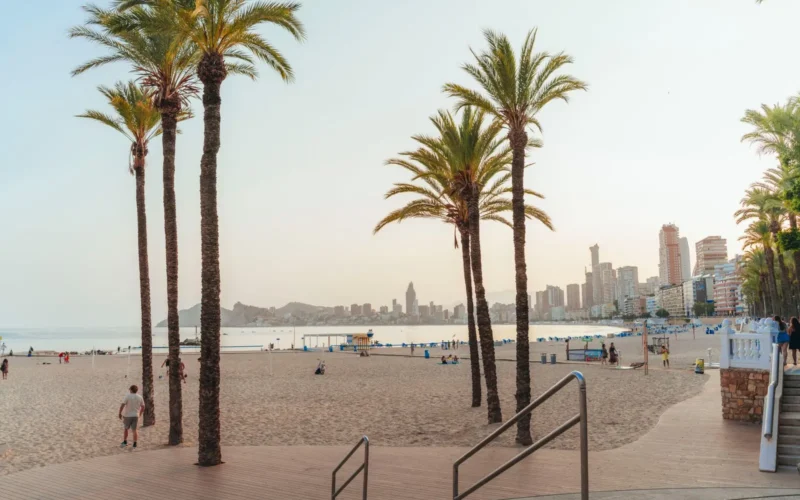 Palmbomen op het strand van Benidorm met de skyline op de achtergrond