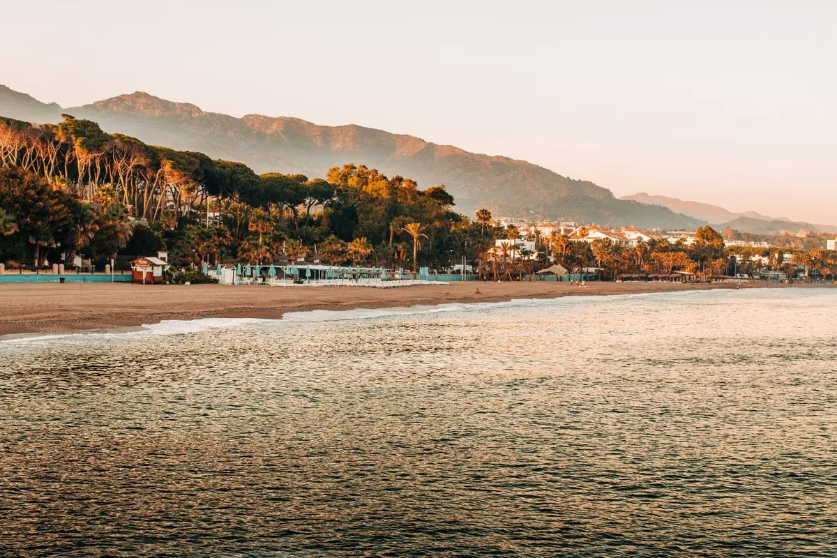 Zonsopkomst boven een rustig strand met palmen en bergen
